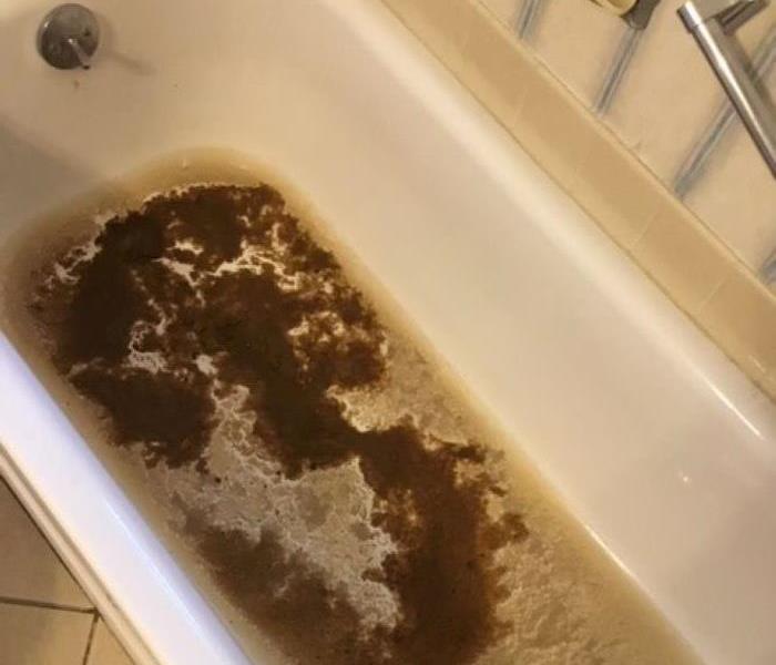 Bathtub full of sewage from a clogged drain pipe